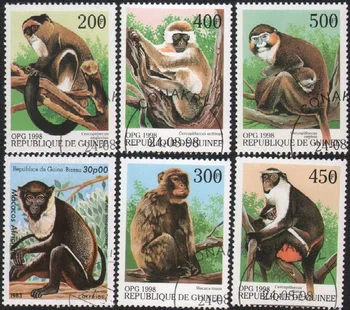 6Pcs/Set Почтовые марки Гвинеи-Бисау 1998 Обезьяна Орангутан Дикая природа Маркированные почтовые марки для коллекционирования