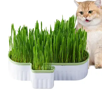  Кошачий травяной кашпо для домашних кошек Гидропонный ящик для посадки кактусов Посадочный ящик Проращиватель лотка Кошачьи растения Травяной ящик Детский кашпо
